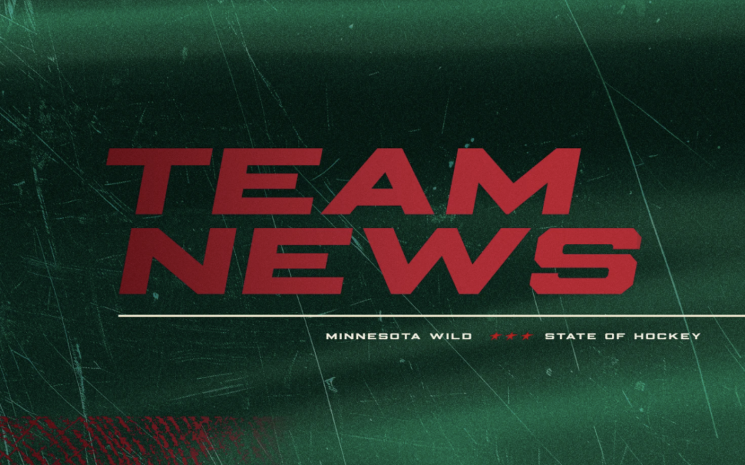 Minnesota Wild Names Ray Sylvester Video Coach